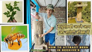 How to attract bees to new beehive  मधुमक्खीयां बॉक्स में अपने आप आ जाएगी viralvideo [upl. by Dulcinea14]