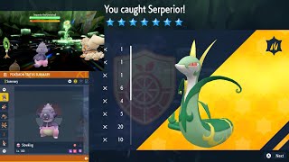 Pokémon Scarlet and Violet EASY 7Star Serperior [upl. by Anrahc479]