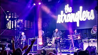 THE STRANGLERS Duchess Rebellion Festival BlackpoolEngland 2824 [upl. by Allegra103]