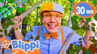 So Much to Learn About Blippi Theme Song  Blippi Music for Children  Nursery Rhymes for Babies [upl. by Eillah627]