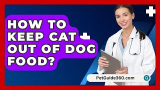 How To Keep Cat Out Of Dog Food  PetGuide360com [upl. by Timofei]