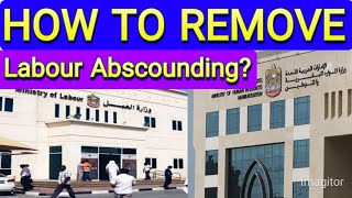 UAE How to remove labour absconding 2023 [upl. by Aloivaf]