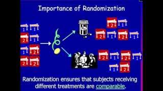 Why Randomization Is Important [upl. by Eartha]