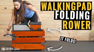 WalkingPad WR1 Foldable Rowing Machine Review [upl. by Suzetta]