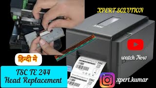 How To Change TsC Te 244 Barcode Printer Head in Hindi  Replacement Repair tsc barcodeline [upl. by Yllah687]