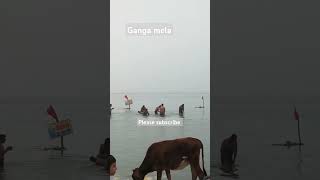 Ganga mela 2024 ganga gangamela gangasnan2024 tranding shprts [upl. by Zapot]