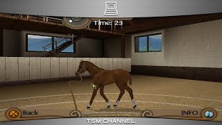 My Riding Stables  Life With Horses part 9 Horse Game [upl. by Dmitri]