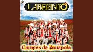 El Corrido De Balbinita [upl. by Admama]