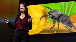 Are Insect Brains the Secret to Great AI  Frances S Chance  TED [upl. by Acyssej]