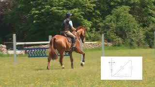 Harry Meade Fairfax Masterclass in Minutes  Triangle exercise [upl. by Daegal]