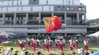 【4K】ど～んと Coco de 踊らん会Ebinaよさこい2024夏三部 [upl. by Akapol]