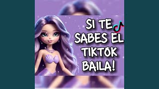 Si Te Sabes el Tiktok Baila 2024 [upl. by Engelhart]