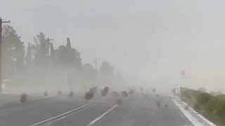 Incredible footage sees tumbleweeds overtake Utah [upl. by Alexandra]