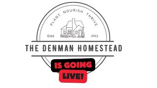 The Denmans Are Going Live 6pm CST [upl. by Bilak]