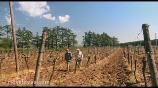 Orvieto Italy FamilyRun Winery  Rick Steves’ Europe Travel Guide  Travel Bite [upl. by Cirde812]