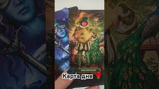 таро гаданиеонлайн tarot прогноз гадание таролог картадня fortune [upl. by Ramej]