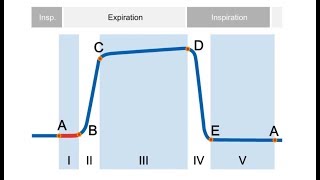 elearning Basics of Capnography [upl. by Noelani]