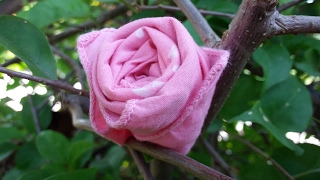 DIY How To Make Rose From HANDKERCHIEF [upl. by Ahseal]