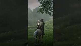 Just a little horsing around 🤣 rdr2 funny [upl. by Pros434]