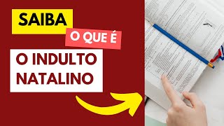 O que é indulto natalino Saiba tudo o que precisa [upl. by Yerggoeg]