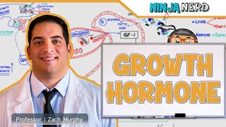 Endocrinology  Growth Hormone [upl. by Ameyn400]