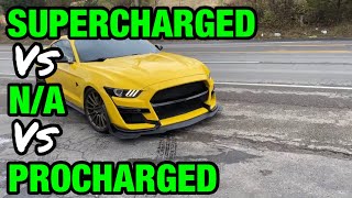 Ford Mustang GT 50 COYOTE V8 SUPERCHARGED Vs PROCHARGED Vs NATURALLY ASPIRATED [upl. by Napra]