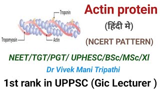 Actin protein  Tropomyosin  Troponin  NEET  PGT  TGT  MSc  BSc  UPHESC  CNET [upl. by Toomay]