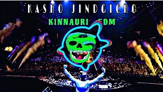 TanntraEDM kashoxJindgichuxKinnauriRemixEdm2024 [upl. by Giarg]