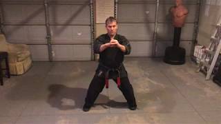 Kenpo Finger Set 2  Jamie Seabrook [upl. by Naillig]