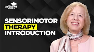 Sensorimotor Psychotherapy An Introduction  Dr Pat Ogden PhD [upl. by Behre]