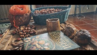 4 raccolta castagne funghi e relax [upl. by Harahs]