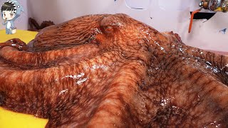 KOREAN STREET FOOD GIANT OCTOPUS DEVIL FISH KOREA SEAFOOD MARKET 포항 송도활어회센터 문어 090321 [upl. by Anuahsal]