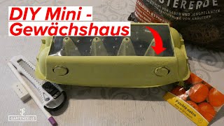 DIY Mini Gewächshaus selber bauen  So EINFACH geht es  KOMPLETTE Anleitung [upl. by Lyrej]