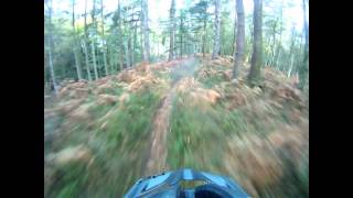 Leith Hill Windy Willows Trail GoPro HD [upl. by Auqenes]