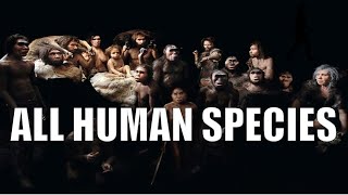 Different Types of Human Species An Update 2022 [upl. by Thar]