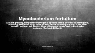 Medical vocabulary What does Mycobacterium fortuitum mean [upl. by Suoilenroc]