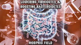 Lowering Firmicutes and Boosting Bacteroidetes Morphic Field  Gut Health Optimization [upl. by Magna]