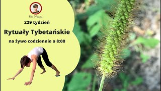 🧘Rytuały Tybetańskie – tydzień 229 dzień 4 [upl. by Aihsenet166]