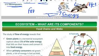 Our environment Food chain Food web  tropic level class X biology [upl. by Eilra]