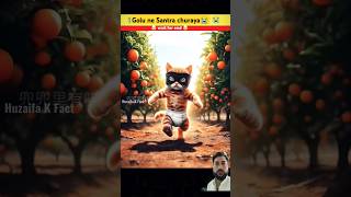 Golu ne Santra cho shorts cat MRINDIANHACKER MrBeast2 mrbeet786 [upl. by Idnat]