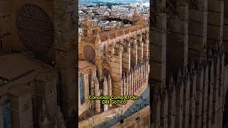 La Catedral de Mallorca El Gigante Gótico Frente al Mar [upl. by Epolulot]