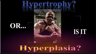 What REALLY Drives Big Gains Hypertrophy Hyperplasia or Both [upl. by Amlet19]