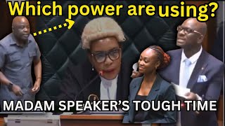 Drama In Parliament When Speaker Nelly Muttis Authority Questioned upnd vs Pf [upl. by Immij]