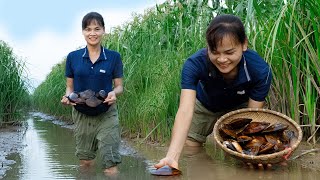 How She Catch So Many Huge Oysters  Cook Oyster Porridge amp Make Decoration  Her Country Life [upl. by Vitia]