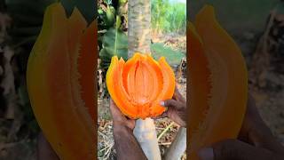 PAPAYA FRUIT  AMAZING FRUITS CUTTING SKILLS P8 shorts [upl. by Sansone]