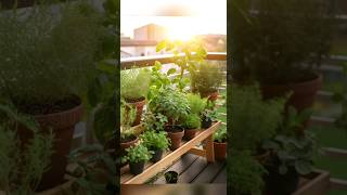 Low light plants plants homegardeningtips indoorplants easygardening hardyplants [upl. by Angelina496]