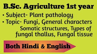 Fungi Definition General Characters Somatic structures Types of fungal thalli Fungal tissues [upl. by Renrag]