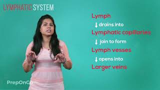 Life Process  12  Lymphatic System  CBSE Class 10 [upl. by Aissak76]