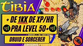 🚨HUNT PARA MAGE NO TIBIA  MAIS DE 1KK POR HORA EM ISSAVI [upl. by Hsilgne]