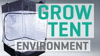 5 Grow Tent Environment Problems [upl. by Alahs8]